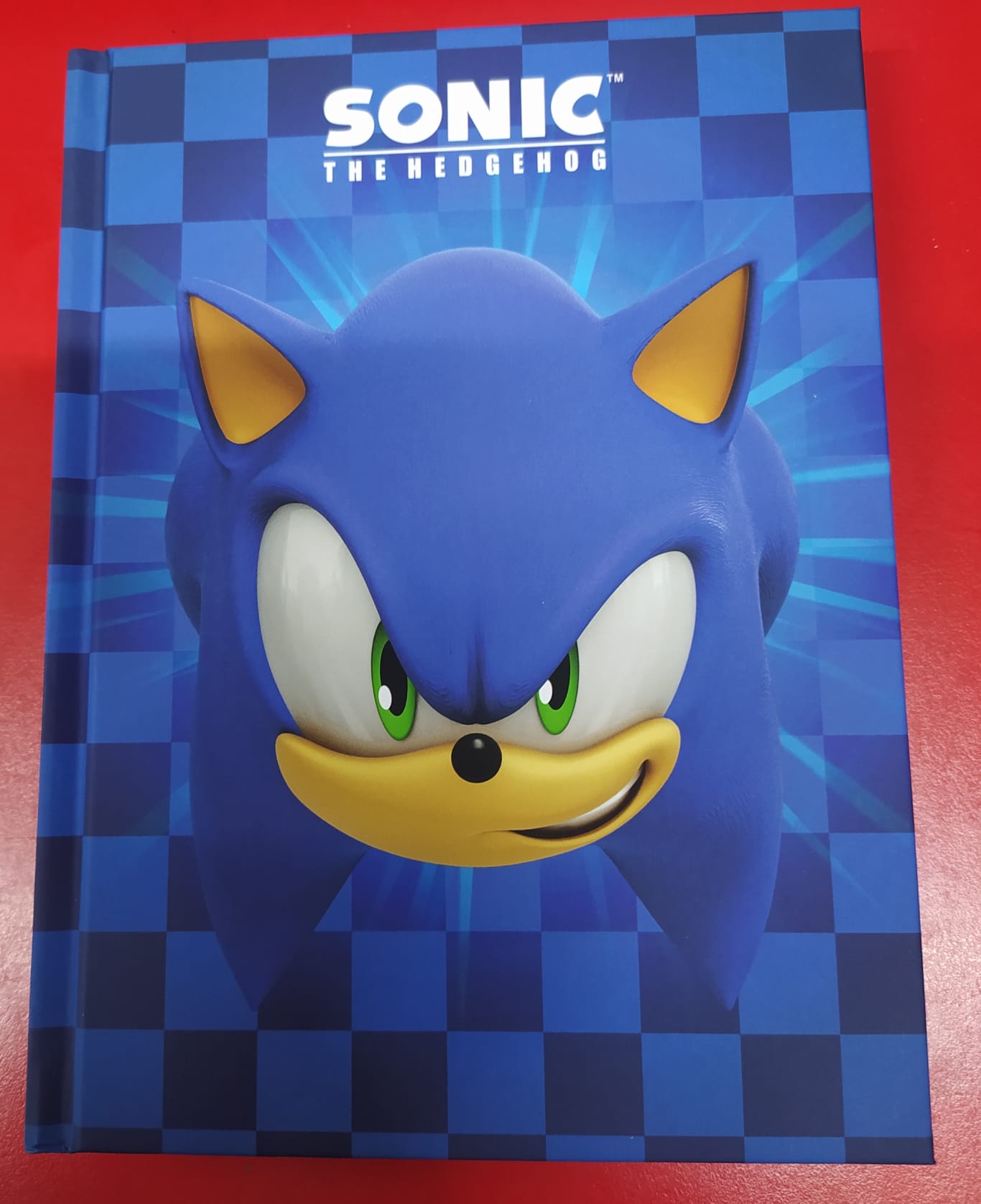 DIARIO SCOLASTICO SONIC 2023/2024